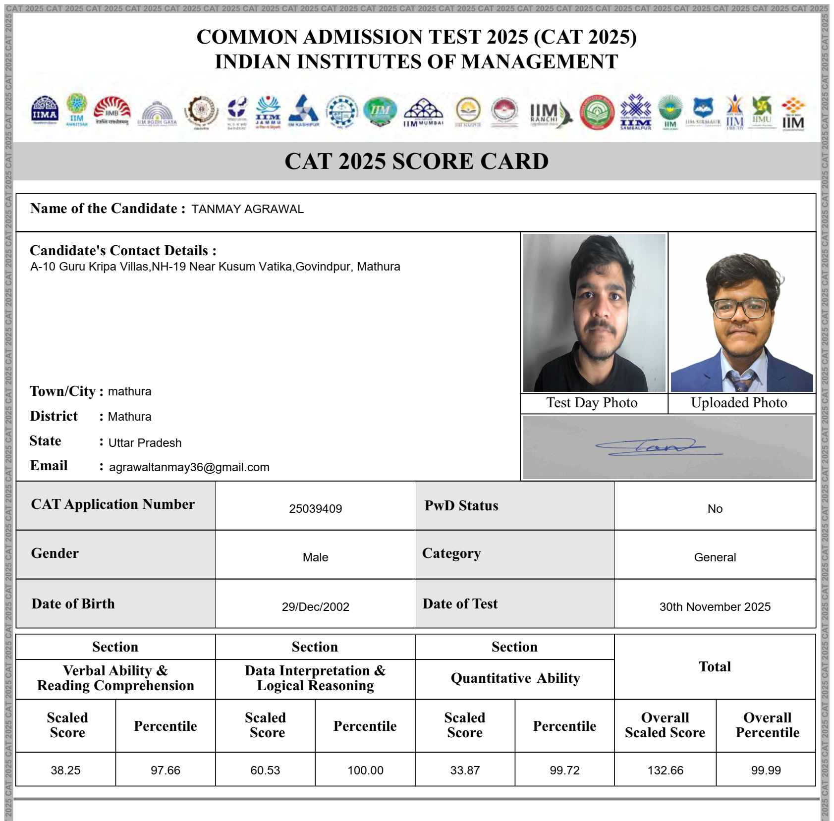 cat2025.png